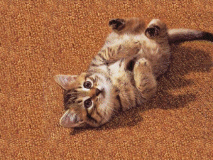 kitties1.gif